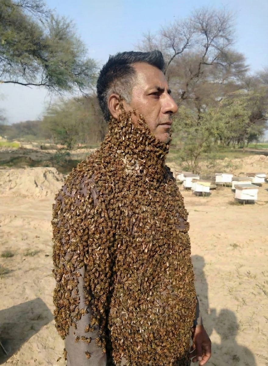 Beekeeper working the hives by hand